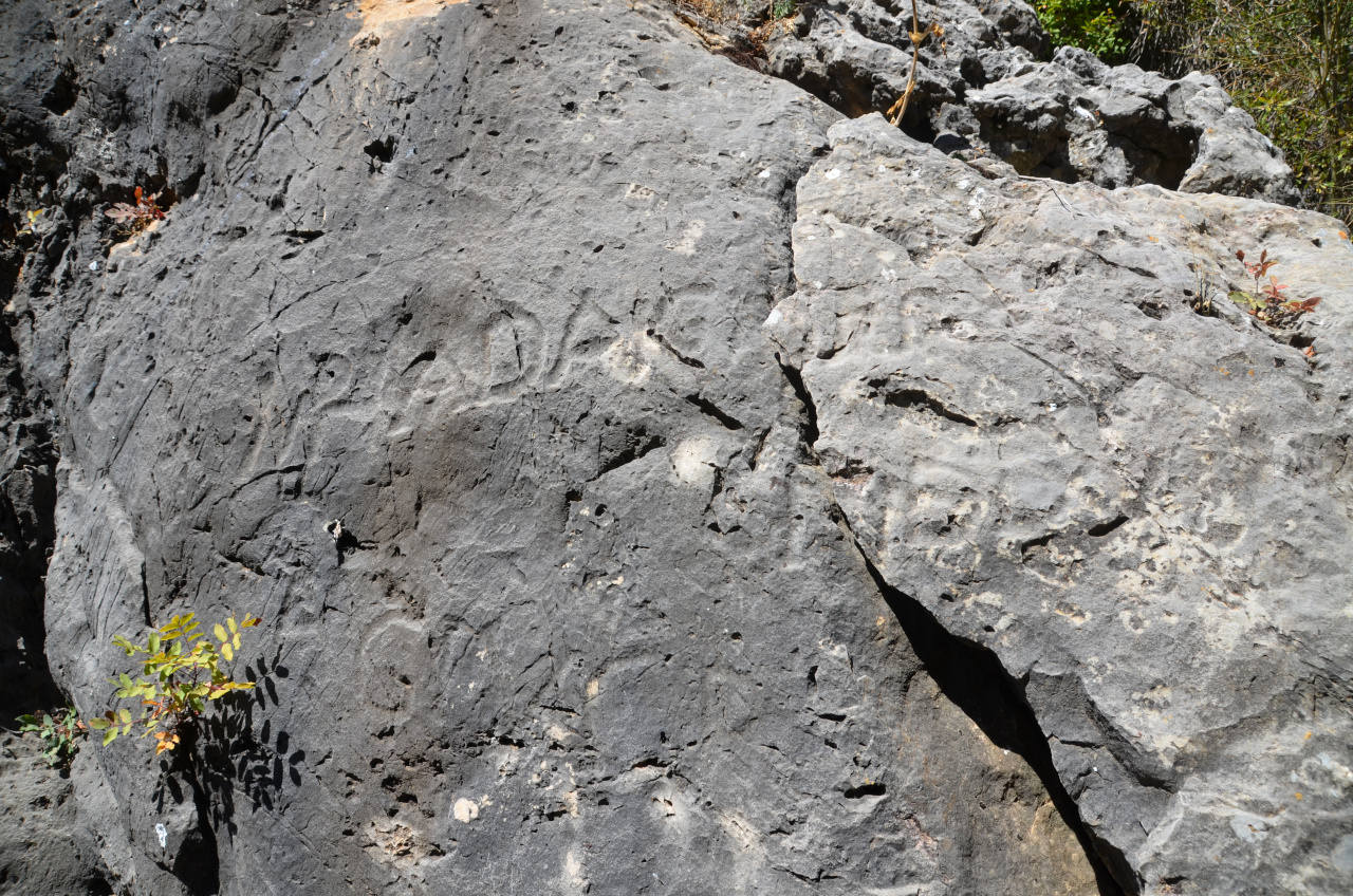 Forest inscriptions of Hadrian in Mount Lebanon