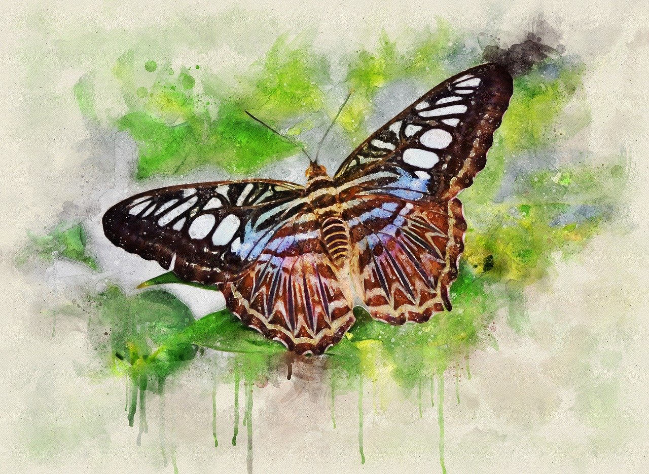 painting of a tropical butterfly