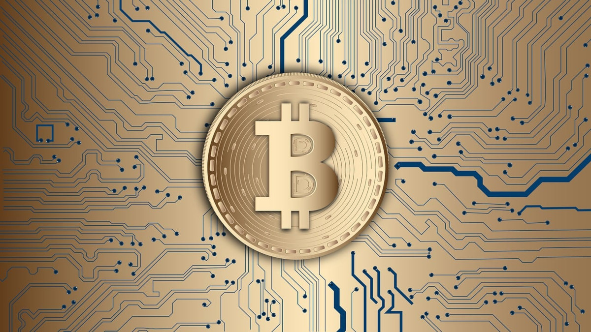 brown circuit board bitcoin art