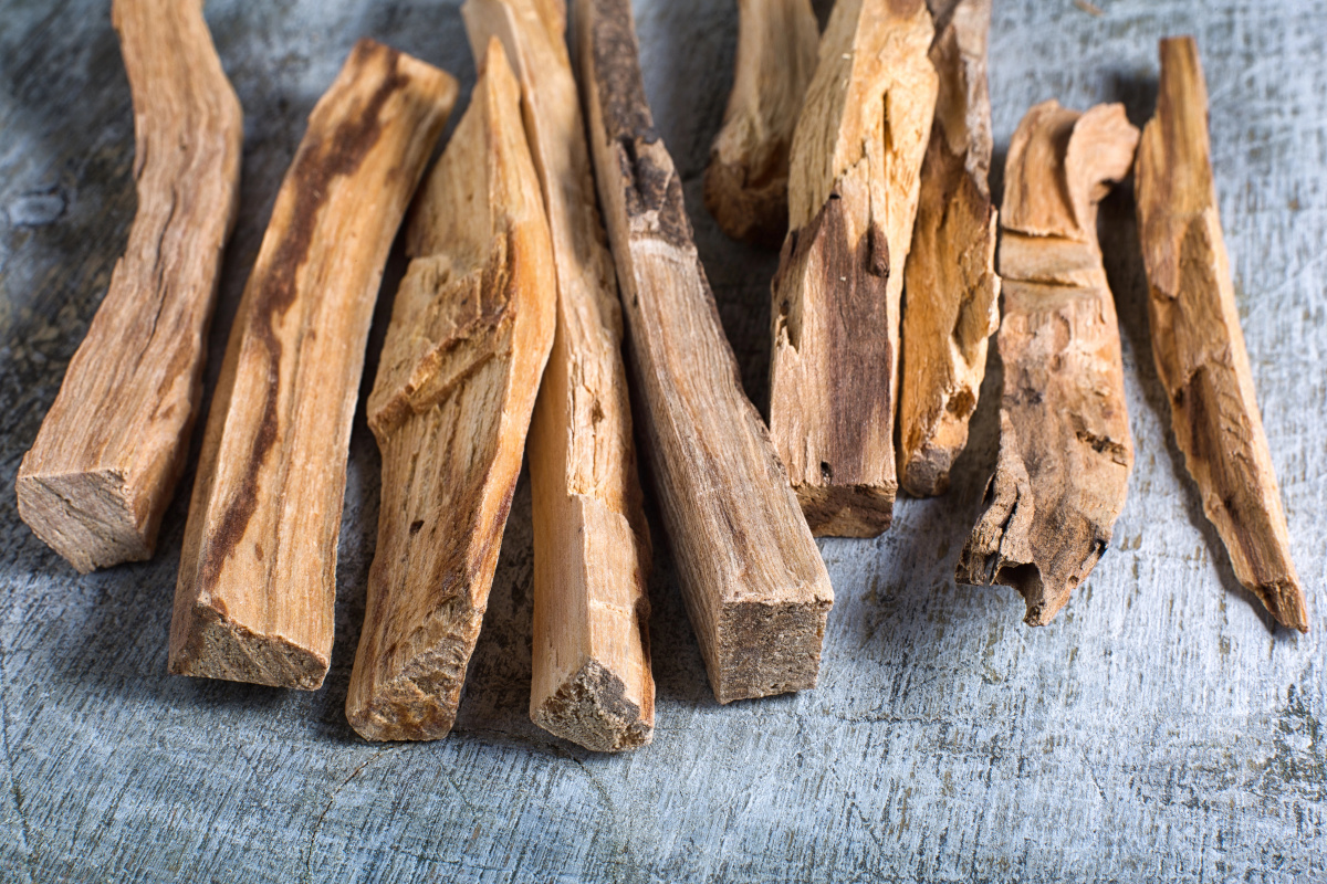 palo santo smudge sticks from ecuador